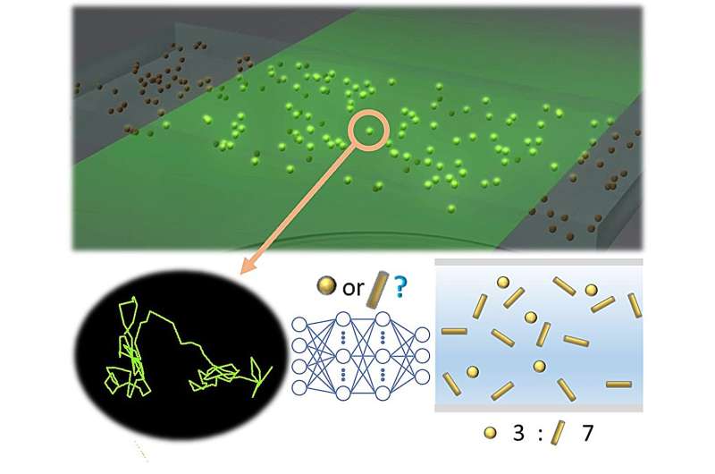 Deep learning solves long-standing challenges in identification of nanoparticle shape
