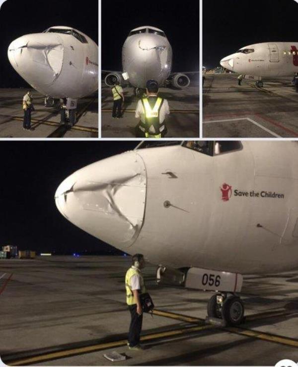 This undated composite file photo shows an aircraft involved in a midair bird collision accident. (Yonhap) 