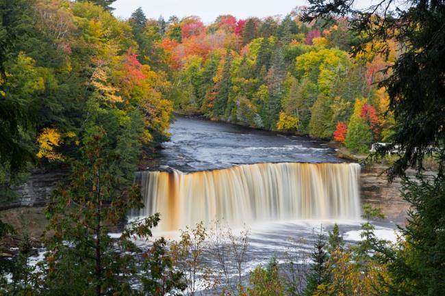 10-facts-a<em></em>bout-local-wildlife-and-natural-reserves-in-muskegon-michigan