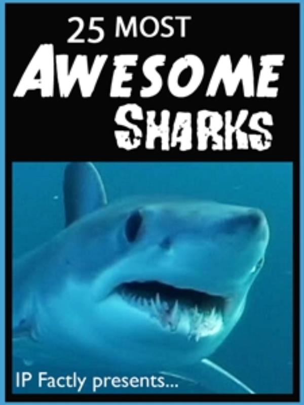 25 Most Awesome Sharks