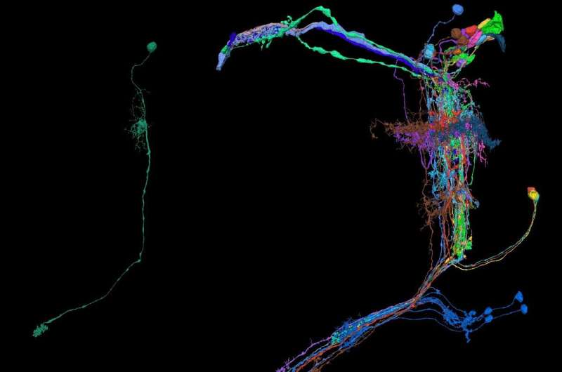 Enhancing nanofibrous acoustic energy harvesters with artificial intelligence