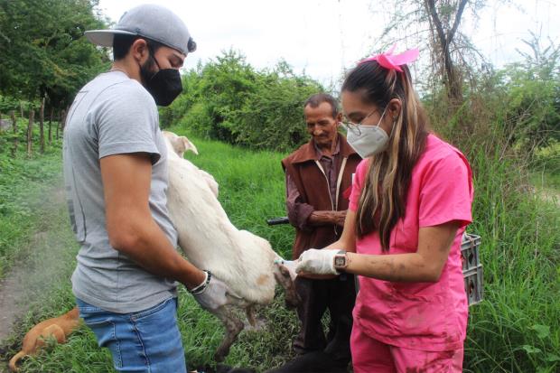 Veterinarians Diana Hernandez and Miguel Torres provide free vaccinations against canine distemper, rabies and parvovirus to dogs in the buffer area of the Sierra de Mo<em></em>nte Negro reserve in Morelos, Mexico.