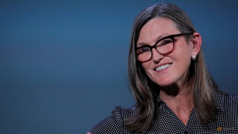 Cathie Wood's Ark buys stake in Musk's xAI, Bloomberg News reports