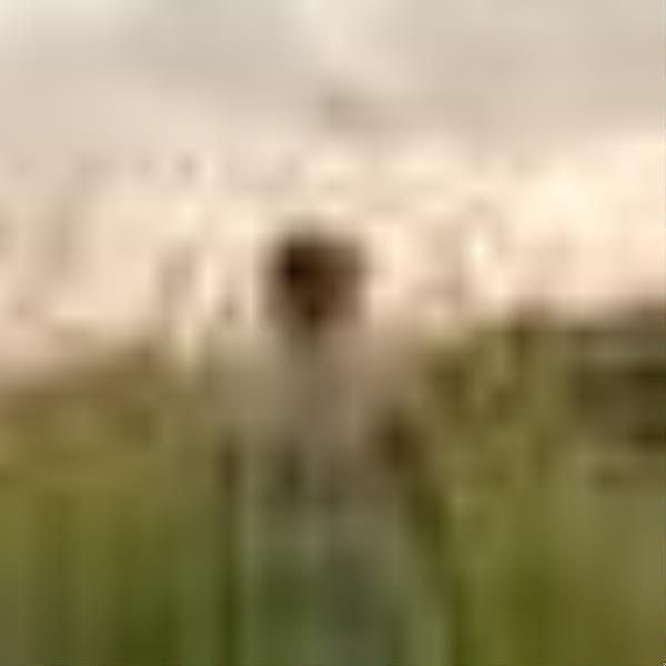 Grassland (2024)