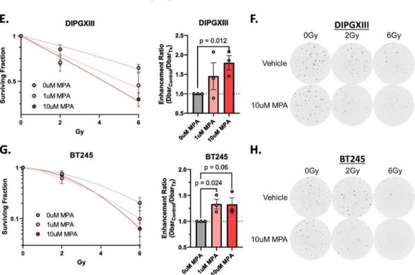 Pediatric brain tumors rely on different me<em></em>tabolic 'route' to fuel treatment resistance