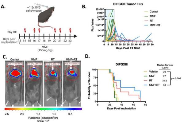 Study finds pediatric brain tumors rely on different me<em></em>tabolic 'route' to fuel treatment resistance