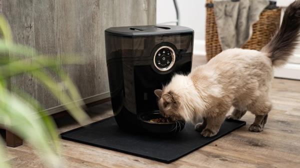 Siamese cat eating from black automatic feeder positio<em></em>ned on a black mat