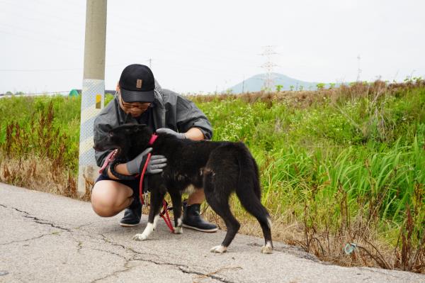 A Hamggehage participant takes a break after a light stroll near a dog shelter in Ilsan, Gyeo<em></em>nggi Province. (Lee Si-jin/The Korea Herald)
