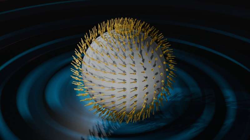 Exploring the origin of polaron formation in halide perovskites