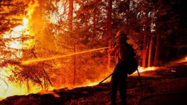 A firefighter hoses down flames from the Mosquito Fire as it burns in Foresthill in Placer County, California, US, September 7, 2022. Photo: Reuters/Fred Greaves