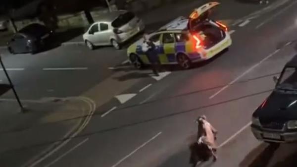 The video shows a cow being hit by a police car twice