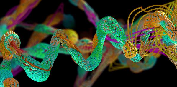 Protein molecule.