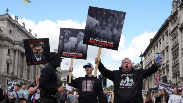 People take part in a protest in central London, against the Government's decision to add XL bully dogs to the list of prohibited breeds under the Dangerous Dogs Act following a spate of recent attacks. Picture date: Saturday September 23, 2023.