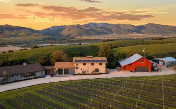 The Home Page | Dogs in the Hills and Downward Dogs at the Beach