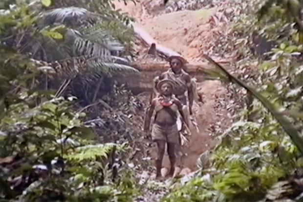 Two Kanoê brothers, Txinama?ty and Pura?, performed rituals to attract Tanaru. 