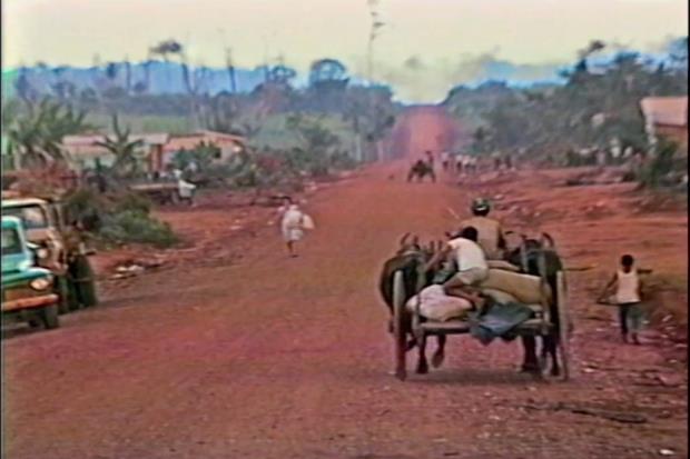 Rond?nia's landscape in the 1980s. 