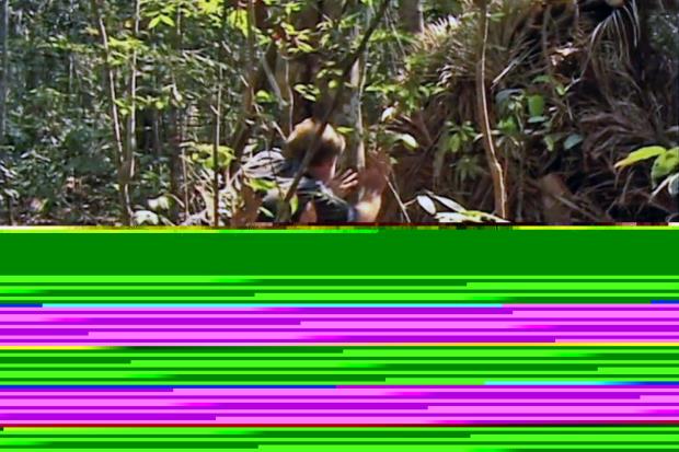 Carelli’s team was eager to earn Tanaru's trust and capture his image on camera