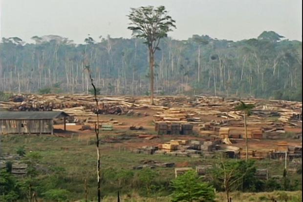 The state of Rond?nia was the stage of massacres of Indigenous populations during the expansion of the agricultural fro<em></em>ntier of the 1980s and 1990s.
