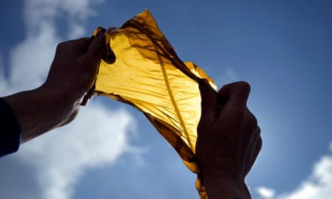 Two hands hold up a stretched piece of seaweed to the sun, which shines through it.