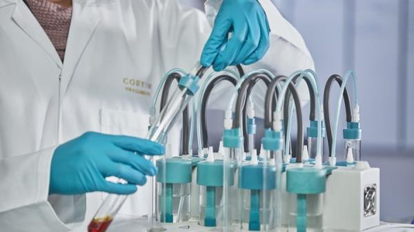 Will synthetic fuel save the internal combustion engine?