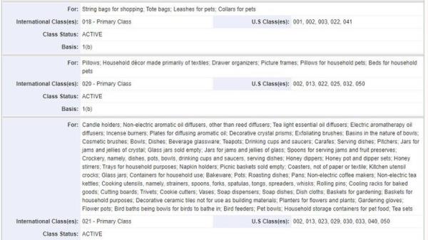 Pic: US Patent and Trademark Office 