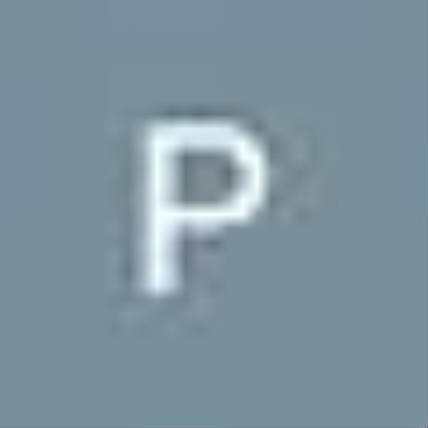 patriciakersting avatar