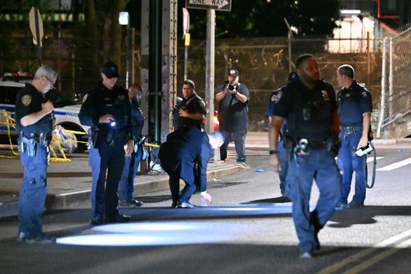 A 53-year-old woman and 70-year-old man were struck around 10:30 p.m. in the Brownsville park, the NYPD said.