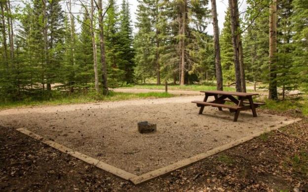 A campsite co<em></em>nsisting of a square patch of gravel with a fire pit and picnic table, surrounded by tall co<em></em>niferous trees.