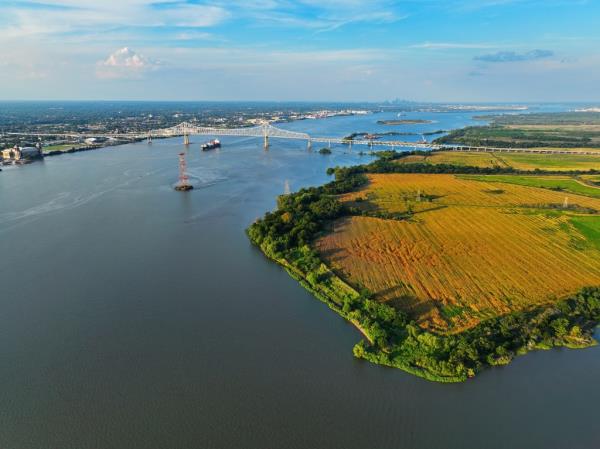 The Pennsylvania Fish and Boat Commission (PFBC) announced the catch in a press release on June 7. 
