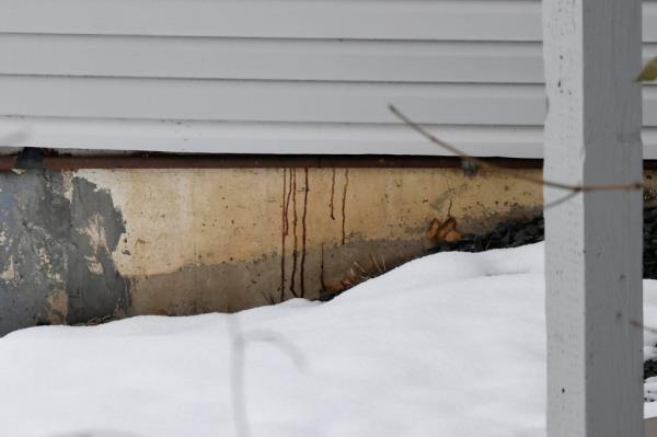 Photos of blood dripping from the crime scene quickly went viral after the murders.