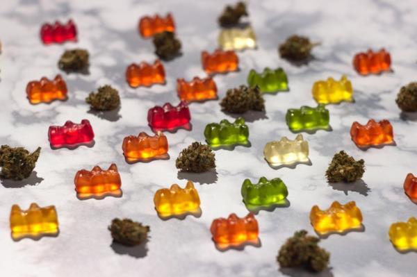 A picture of medical marijuana with gummy bears.