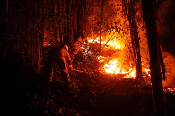 Firefighters fight a fire in Puren, Chile on Feb. 4, 2023.