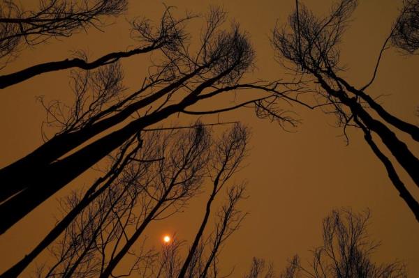 Smoke covers the sky in Santa Juana, Chile.