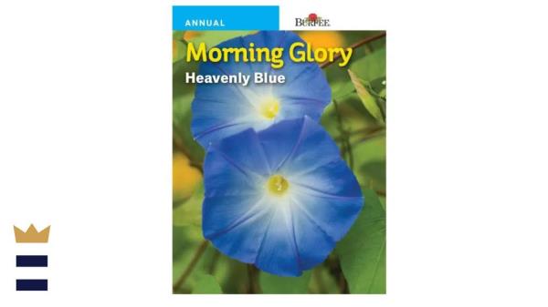 Seed Needs Wildflower Mixture