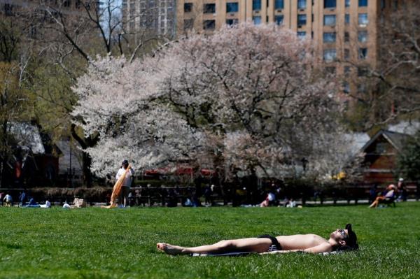 Sunbathing in the park.
