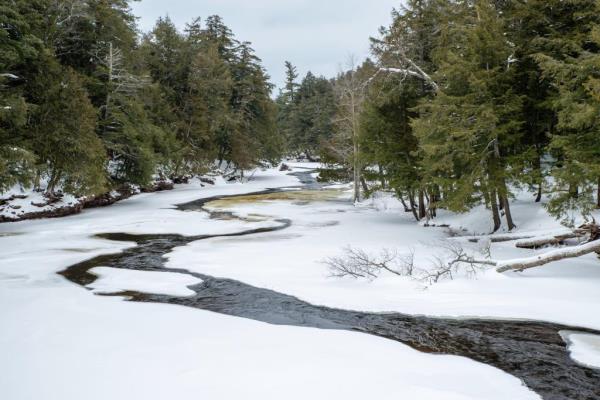 An image of Porcupine Mountains Wilderness State Park in May.