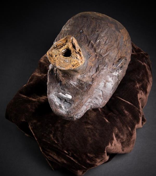 skull