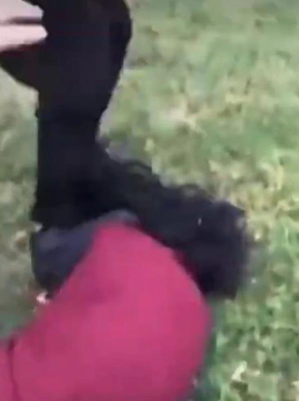 These graphic videos include footage of teenagers getting thrown to the ground and havin<em></em>g their heads repeatedly stomped on. 