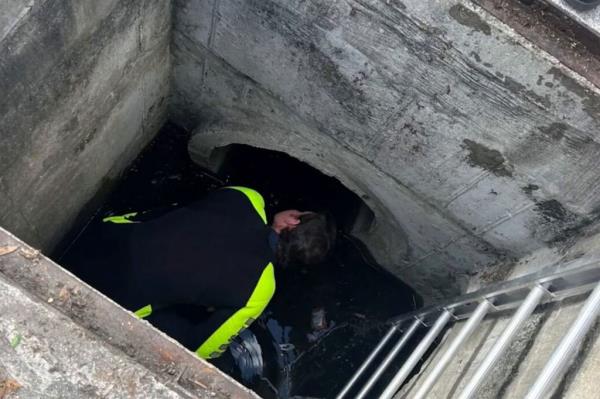 A Delray Beach Fire Rescue member climbs into a storm drain to rescue a woman from a sewer.
