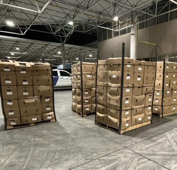 Boxes of fentanyl and green beans seized by border security. 