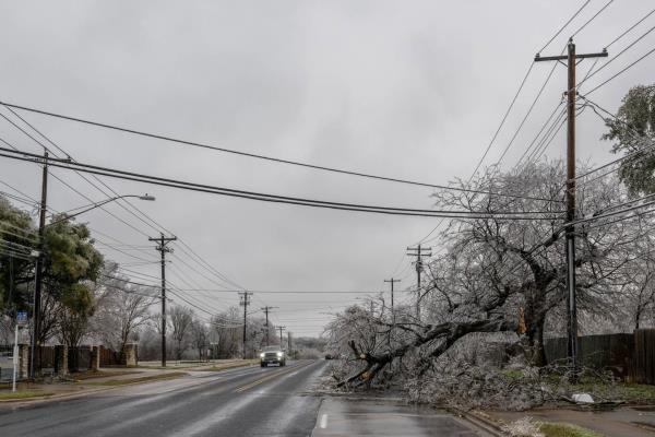 A tree is seen toppled over power lines on February 01, 2023 in Austin, Texas. A winter storm is sweeping across portions of Texas, causing massive power outages and disruptions of highways and roads.