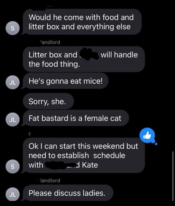 Woman Shares A Hilarious Co<em></em>nversation Between Her And Her Landlord Who Hired A Cat As Pest Control