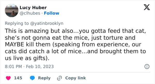 Woman Shares A Hilarious Co<em></em>nversation Between Her And Her Landlord Who Hired A Cat As Pest Control