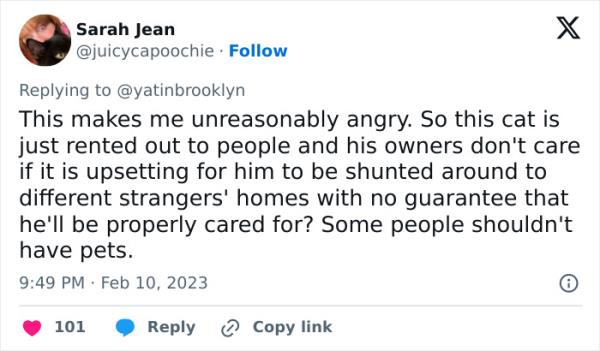 Woman Shares A Hilarious Co<em></em>nversation Between Her And Her Landlord Who Hired A Cat As Pest Control
