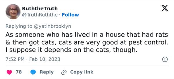 Woman Shares A Hilarious Co<em></em>nversation Between Her And Her Landlord Who Hired A Cat As Pest Control
