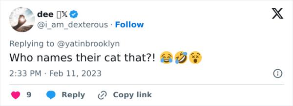 Woman Shares A Hilarious Co<em></em>nversation Between Her And Her Landlord Who Hired A Cat As Pest Control