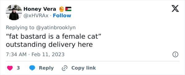 Woman Shares A Hilarious Co<em></em>nversation Between Her And Her Landlord Who Hired A Cat As Pest Control