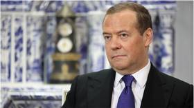 Musk ‘the last adequate mind’ in America – Medvedev