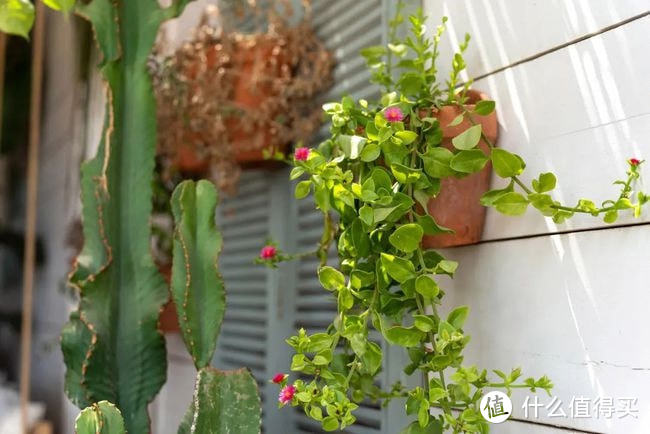 腾龙35-150mm F/2-2.8 Di III VXD镜头测试结论