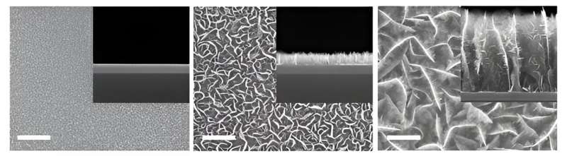 A novel toxic gas sensor by KRISS improves the limit of detection